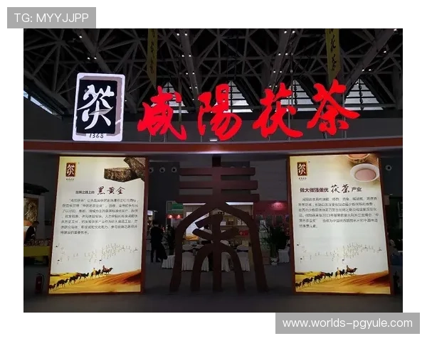 PG国际线上开户优惠活动及最新促销信息全面介绍